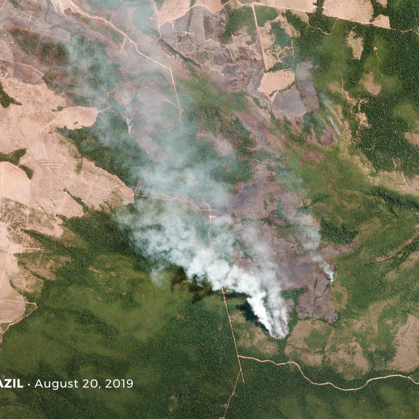 Amazonie : nos poumons sont en feu, et il y a des responsables