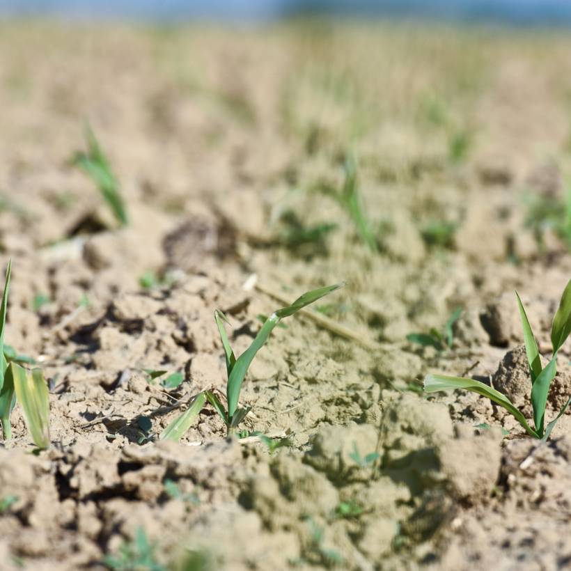 Droogte: zullen we deze zomer zonder water zitten? 