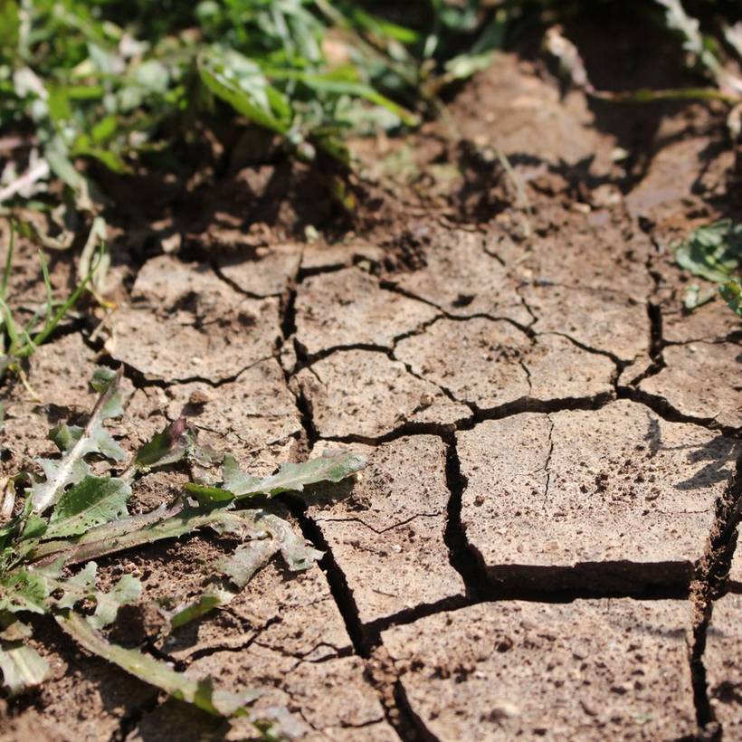 10 maatregelen om de droogte aan te pakken