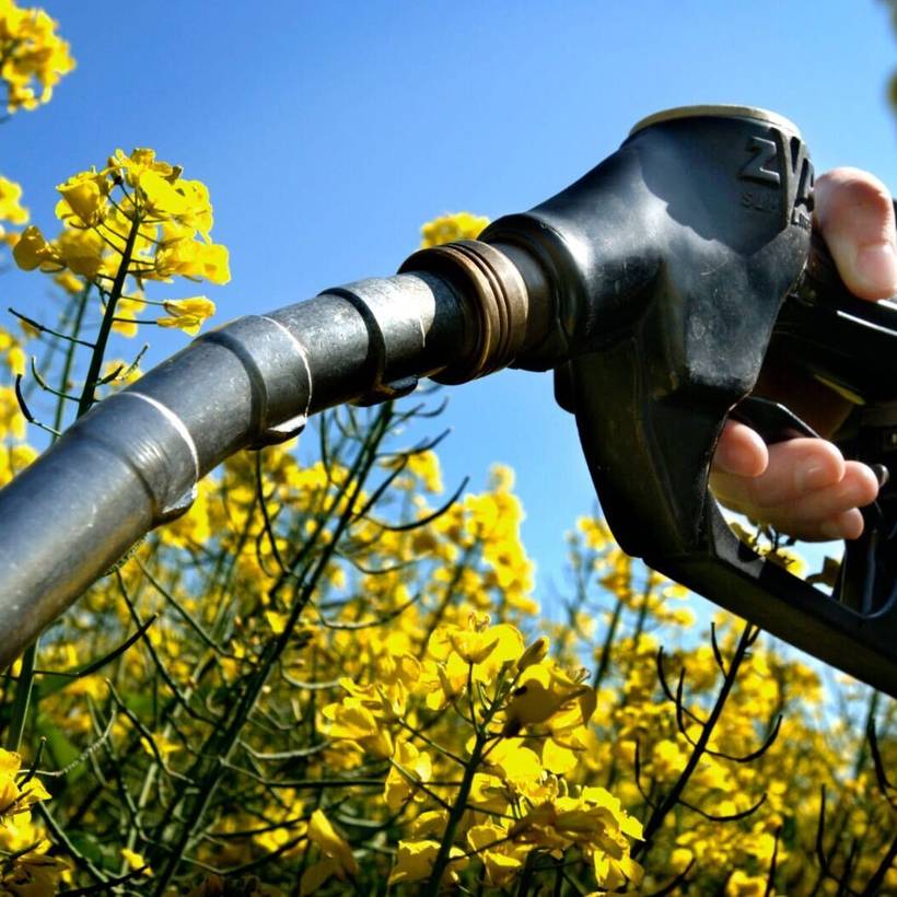 “Elke dag 15 miljoen broden in Europese tanken”: PVDA wil ban op dure biobrandstoffen