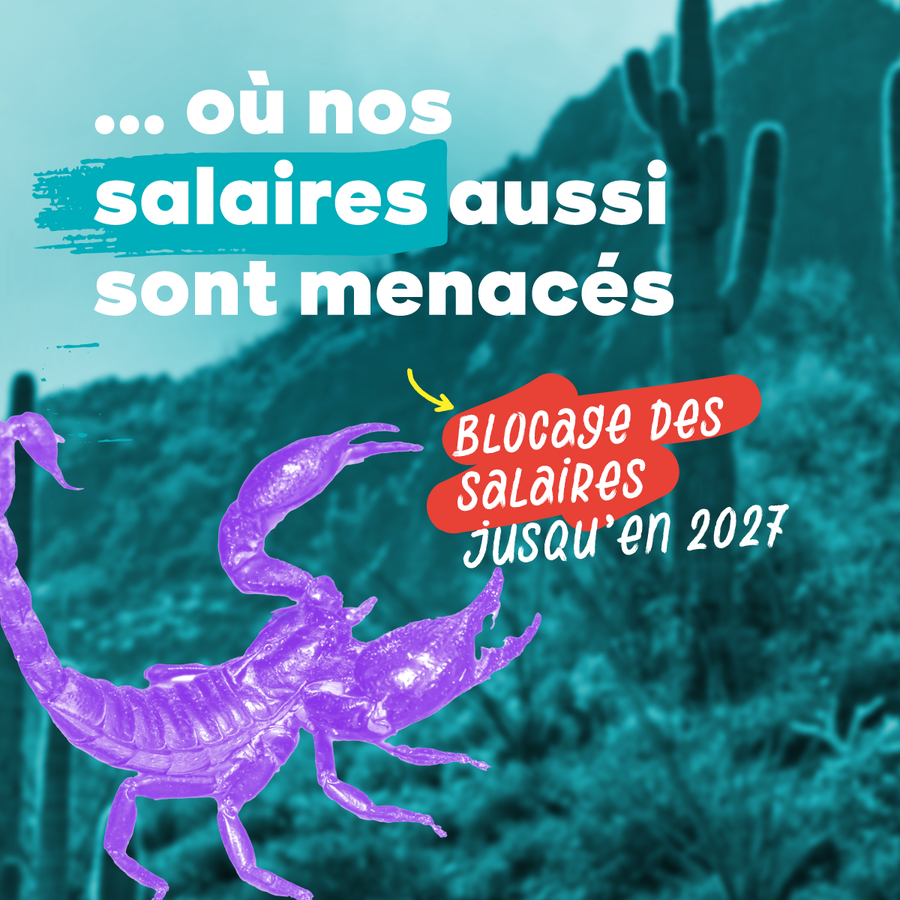 4. Image : un scorpion. Texte : Où nos salaires aussi sont menacés : blocage des salaires jusqu'en 2027