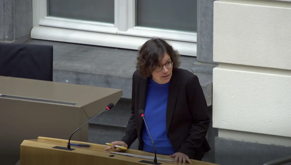 PVDA-volksvertegenwoordigster Lise Vandecasteele in het Vlaams parlement